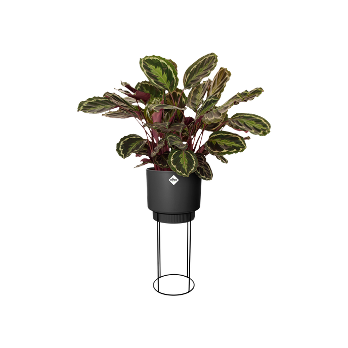 b.for studio round 30cm living black